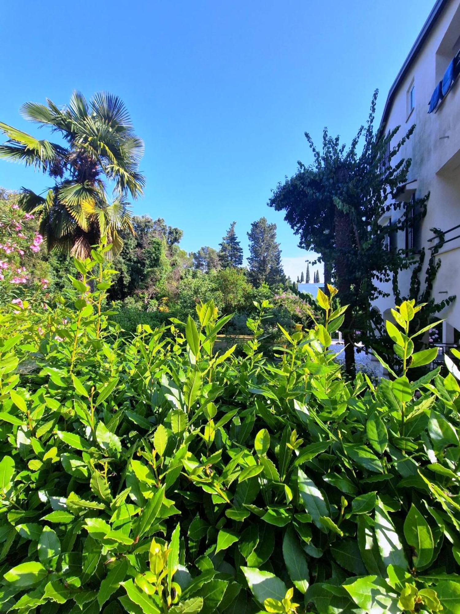 Molo View Apartment Ρόβινι Εξωτερικό φωτογραφία
