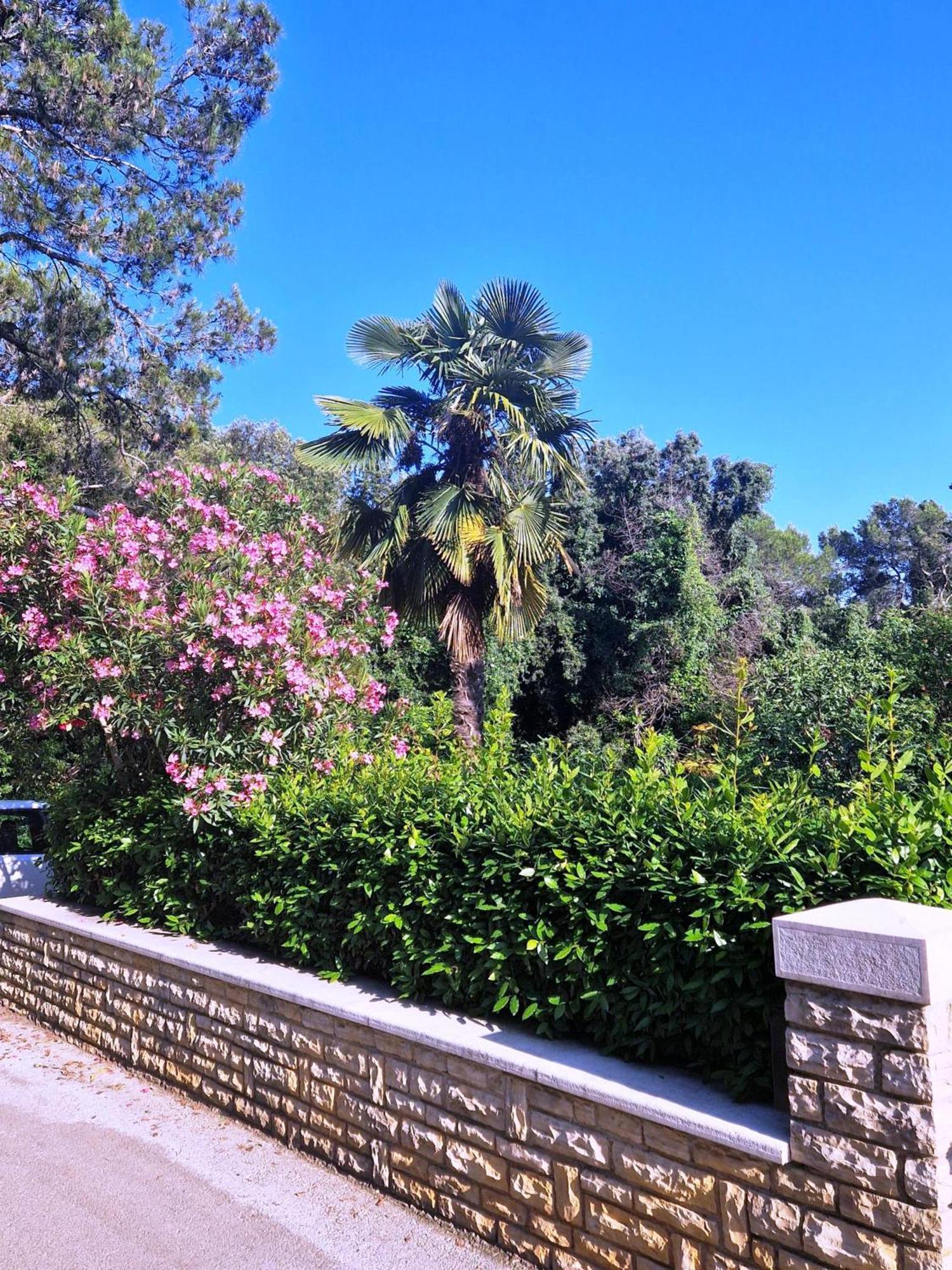 Molo View Apartment Ρόβινι Εξωτερικό φωτογραφία