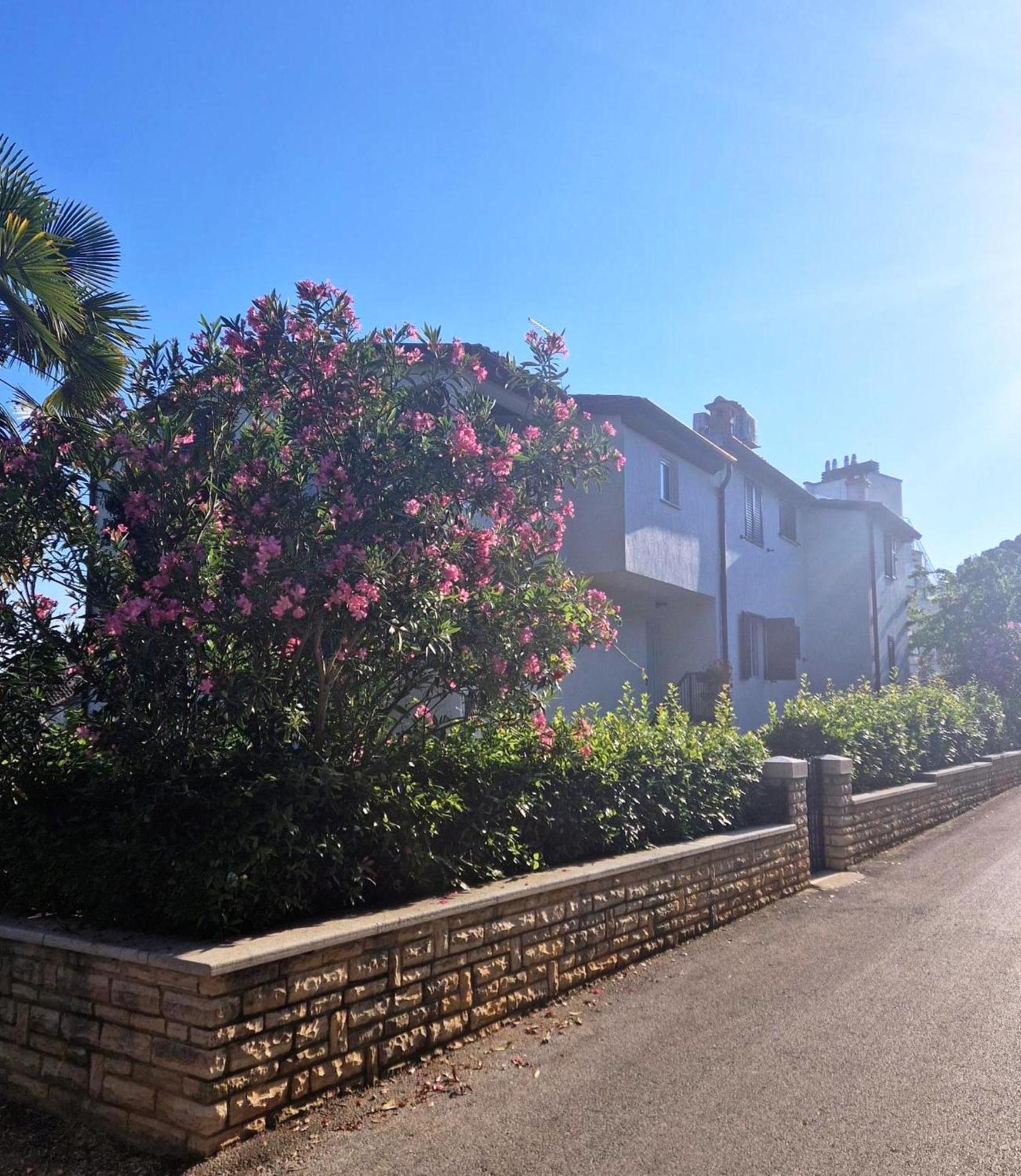 Molo View Apartment Ρόβινι Εξωτερικό φωτογραφία